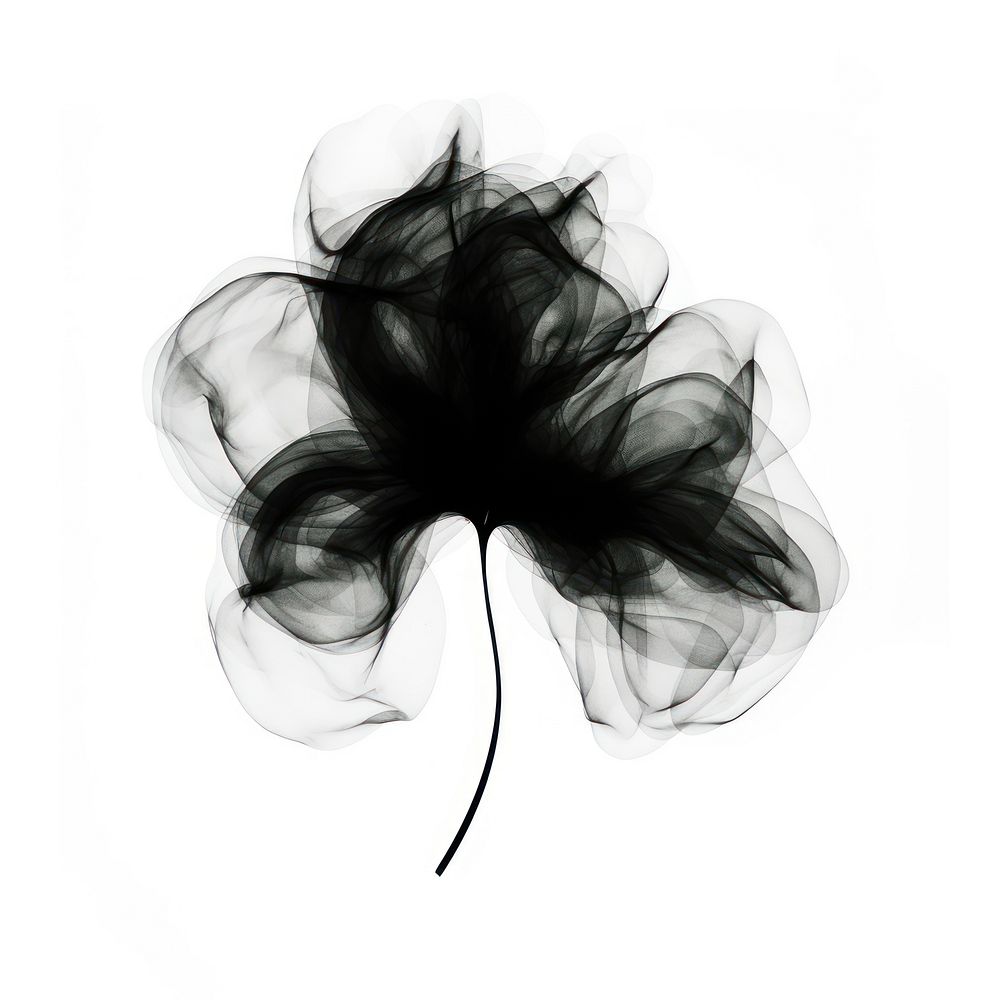 Abstract smoke of clover black white leaf.