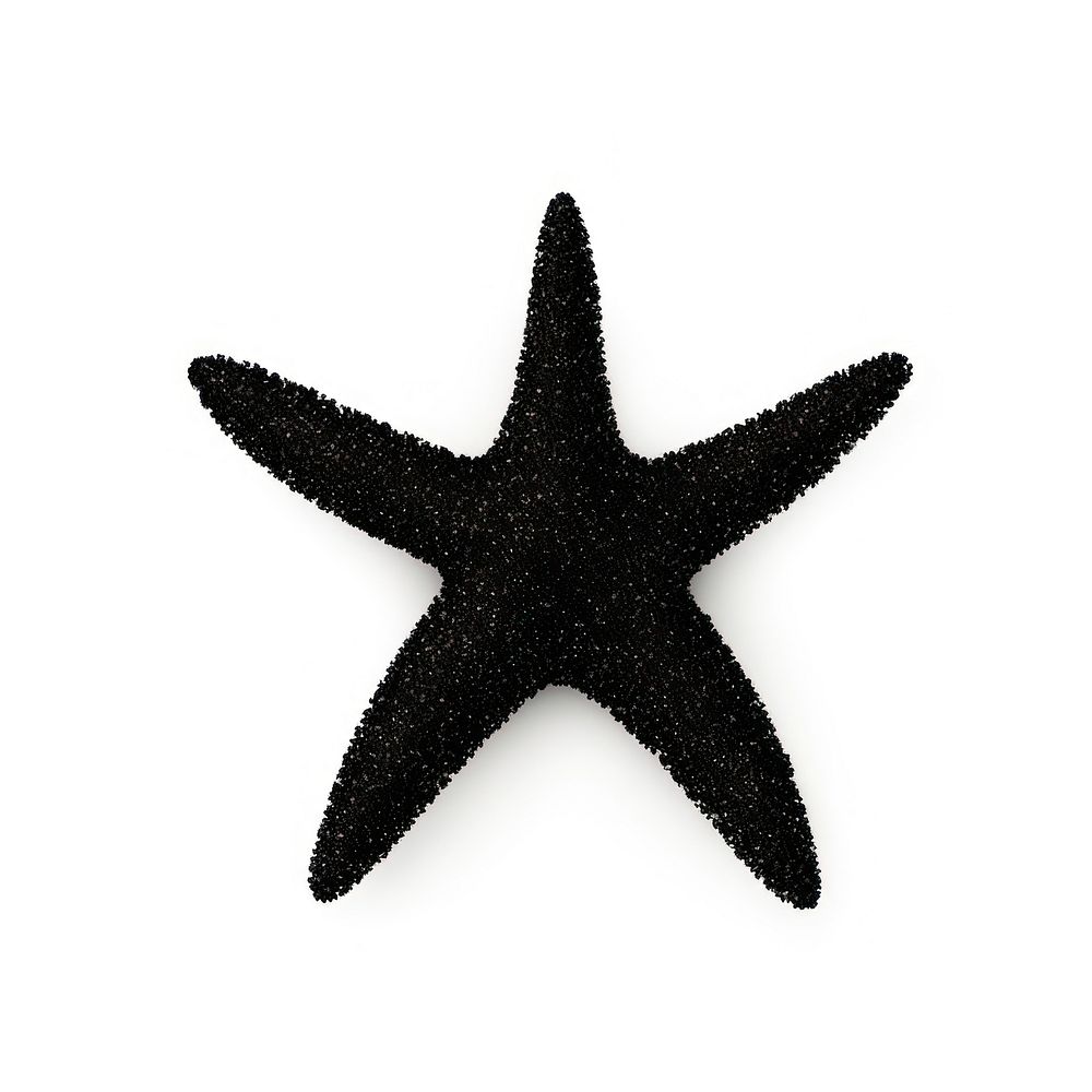 Starfish icon shape black white background.
