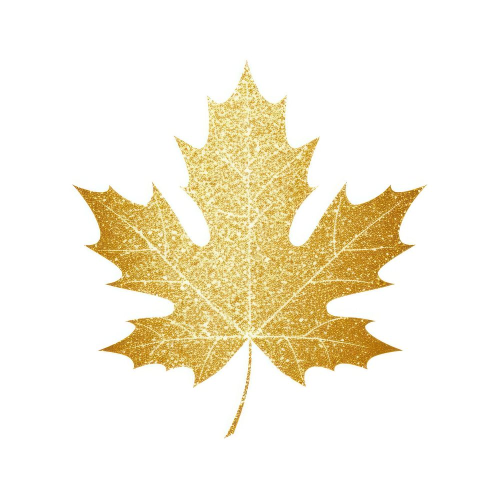 Maple leaf icon plant tree gold.