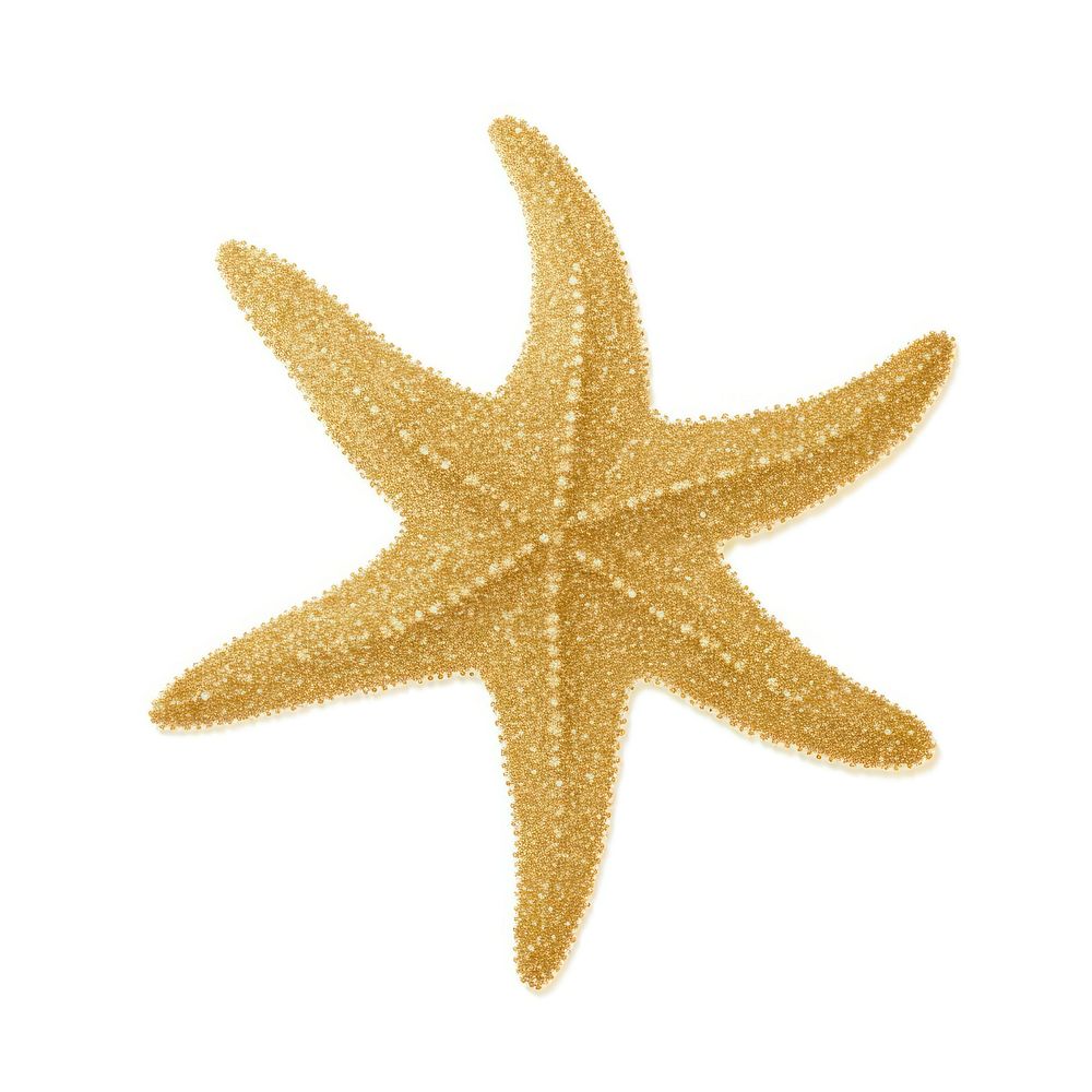 Starfish icon shape gold white background.