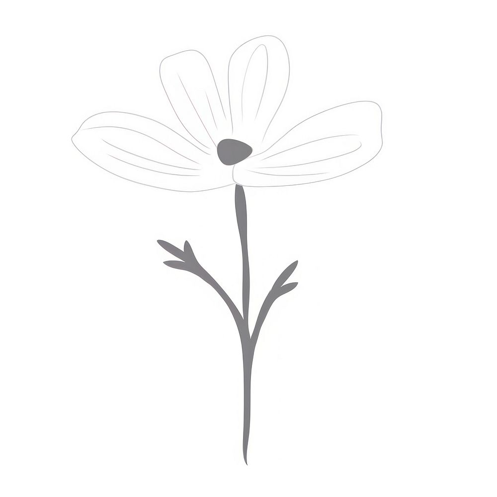 Wildflower drawing sketch plant.