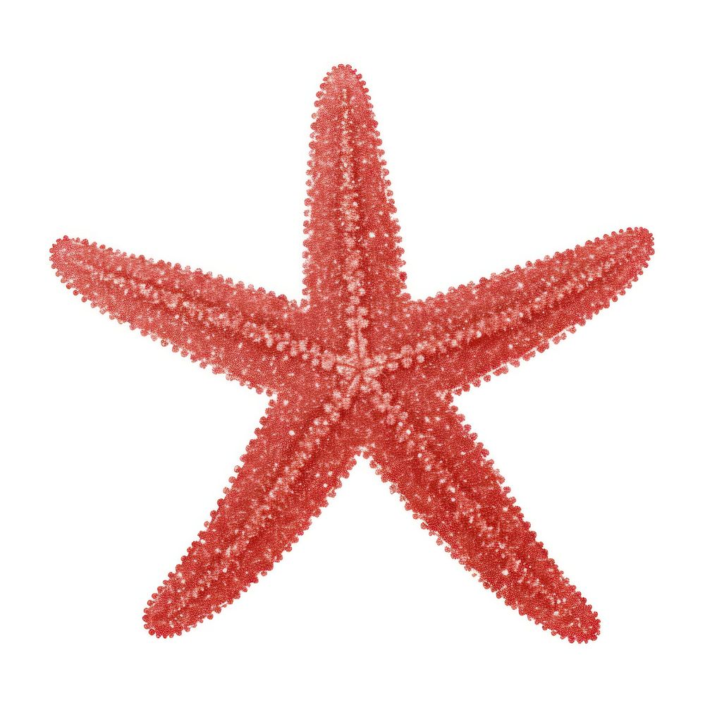 Starfish icon shape red white background.
