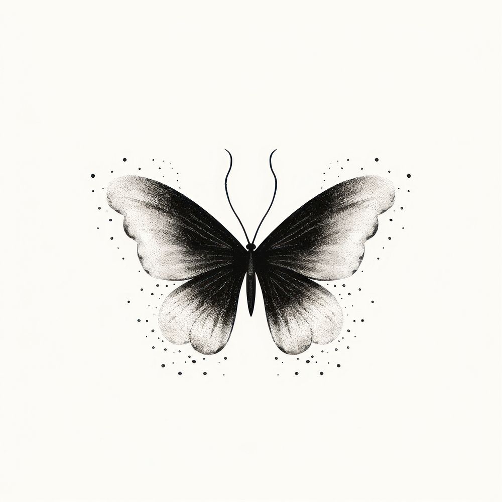 Butterfly drawing insect animal.