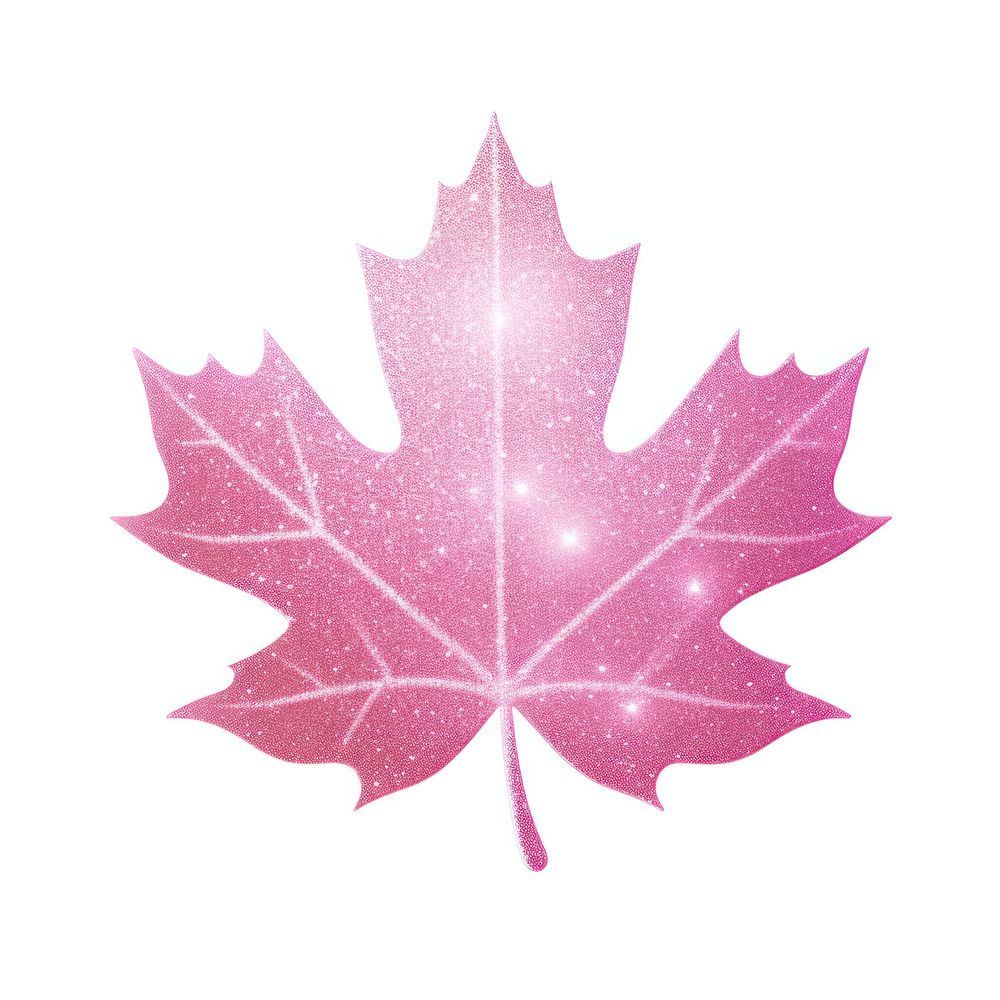 Maple leaf icon plant shape tree.