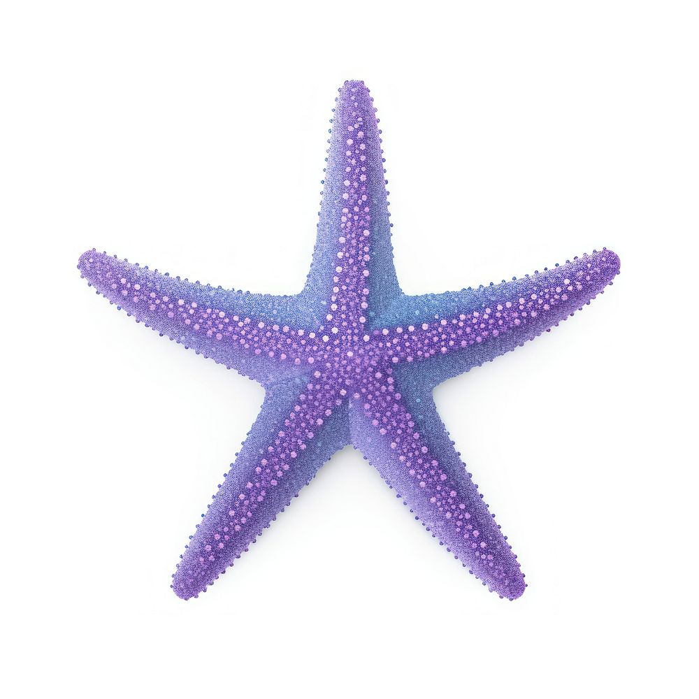 Starfish icon animal purple shape.