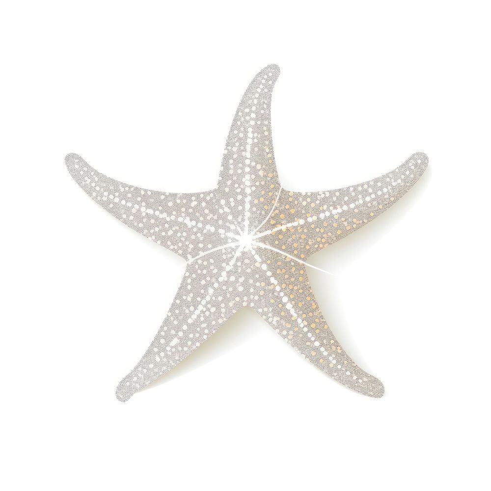 Starfish icon animal shape white background.