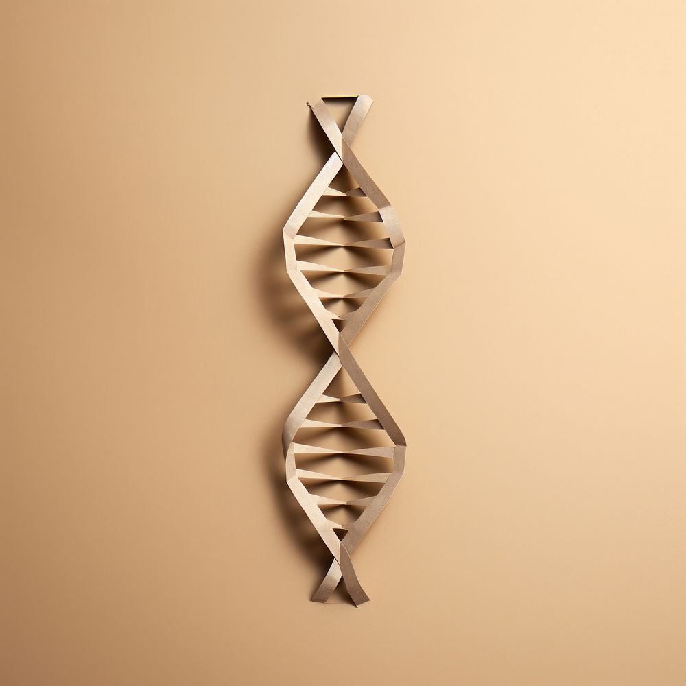 2D DNA symbol wall wood architecture.