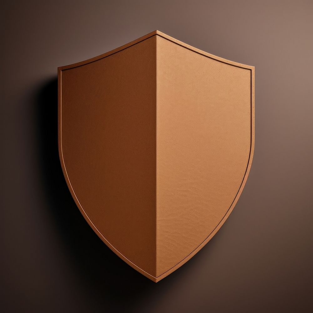 2D shield symbol electronics protection security.