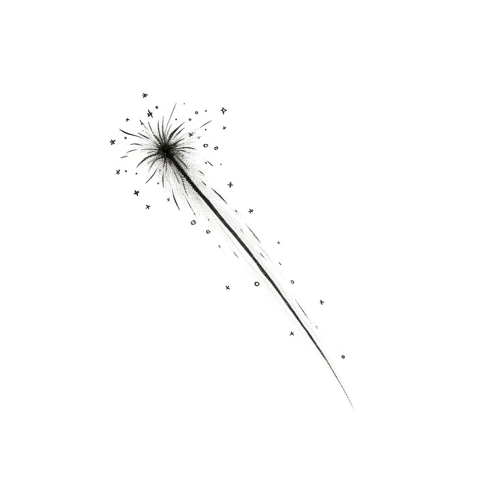 Sparkles shooting star dandelion drawing plant.
