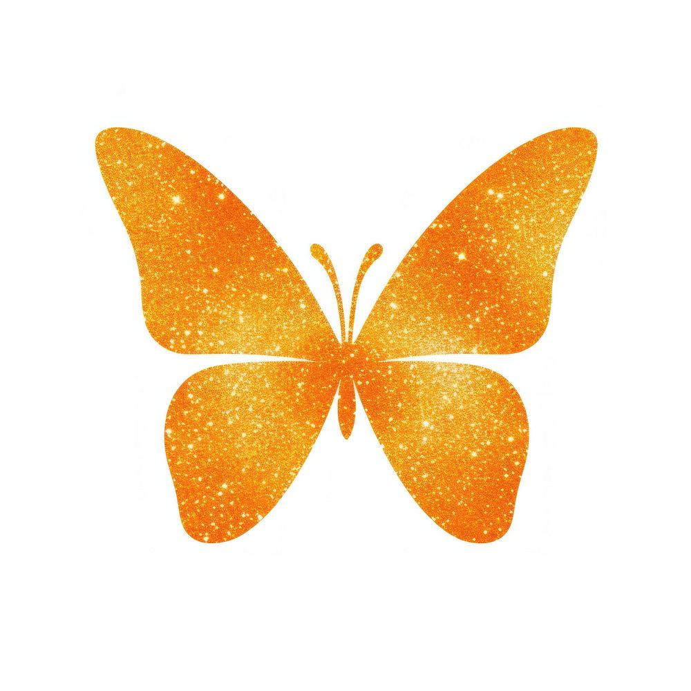 Orange butterfly icon animal petal white background.