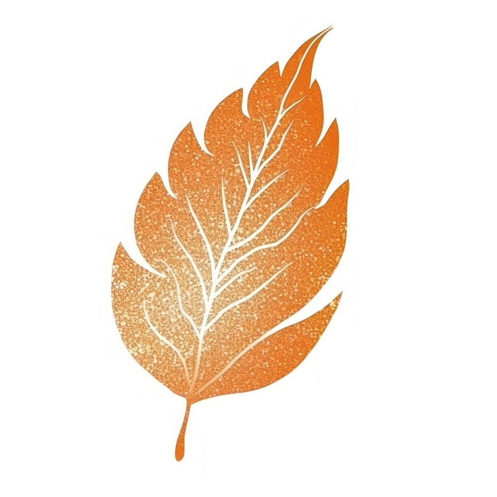 Orange leaf icon plant white background creativity.