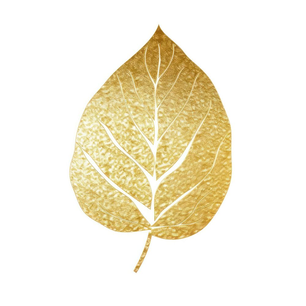 Gold leaf icon plant white background chandelier.