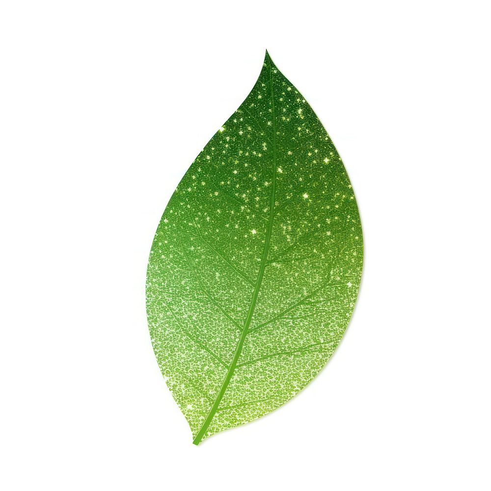 Green leaf icon plant white background moisture.