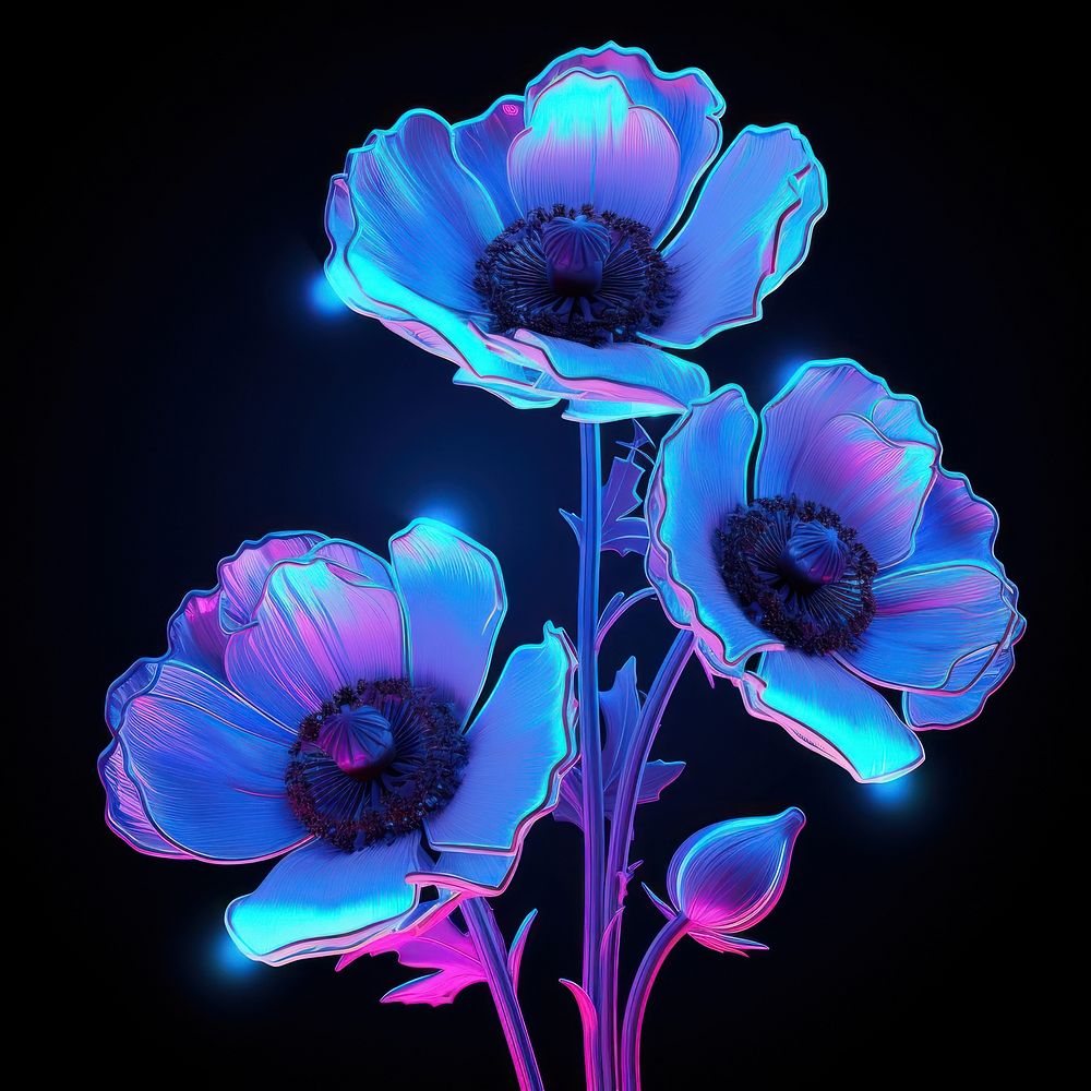 Poppy flower plant light.