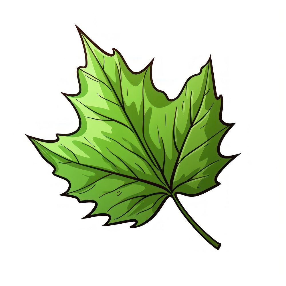 Leaf plant tree clip art.