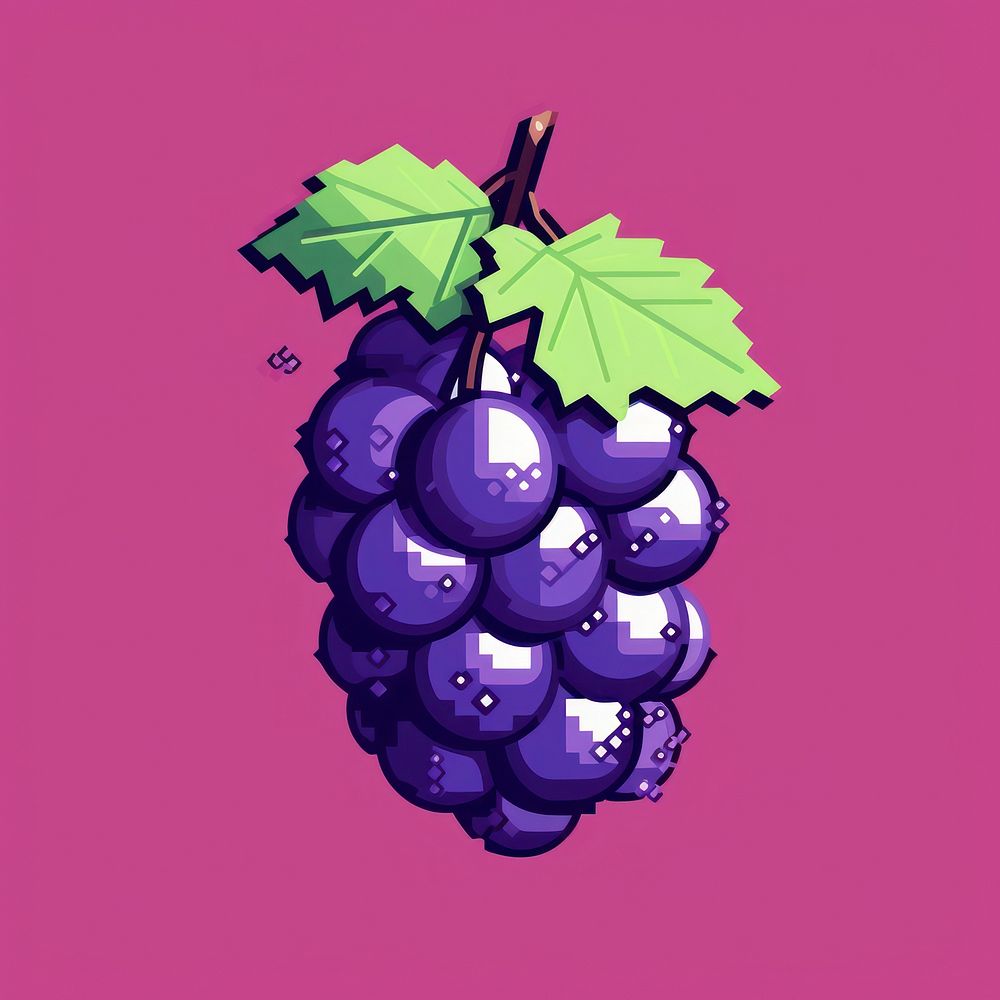 Grape grapes purple fruit.