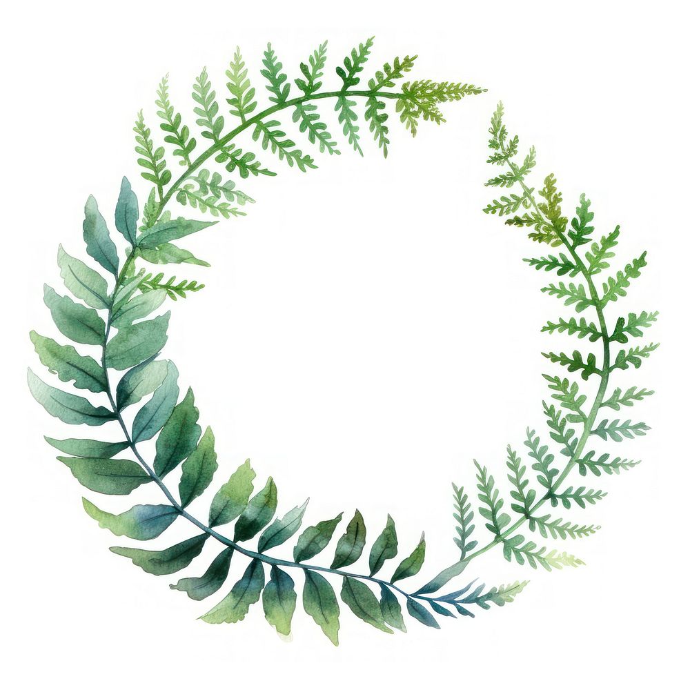 Fern frame watercolor wreath plant | Free Photo Illustration - rawpixel