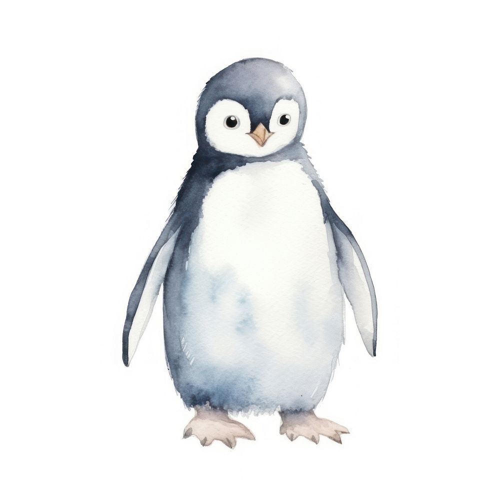 Penguin frame watercolor cartoon animal bird.