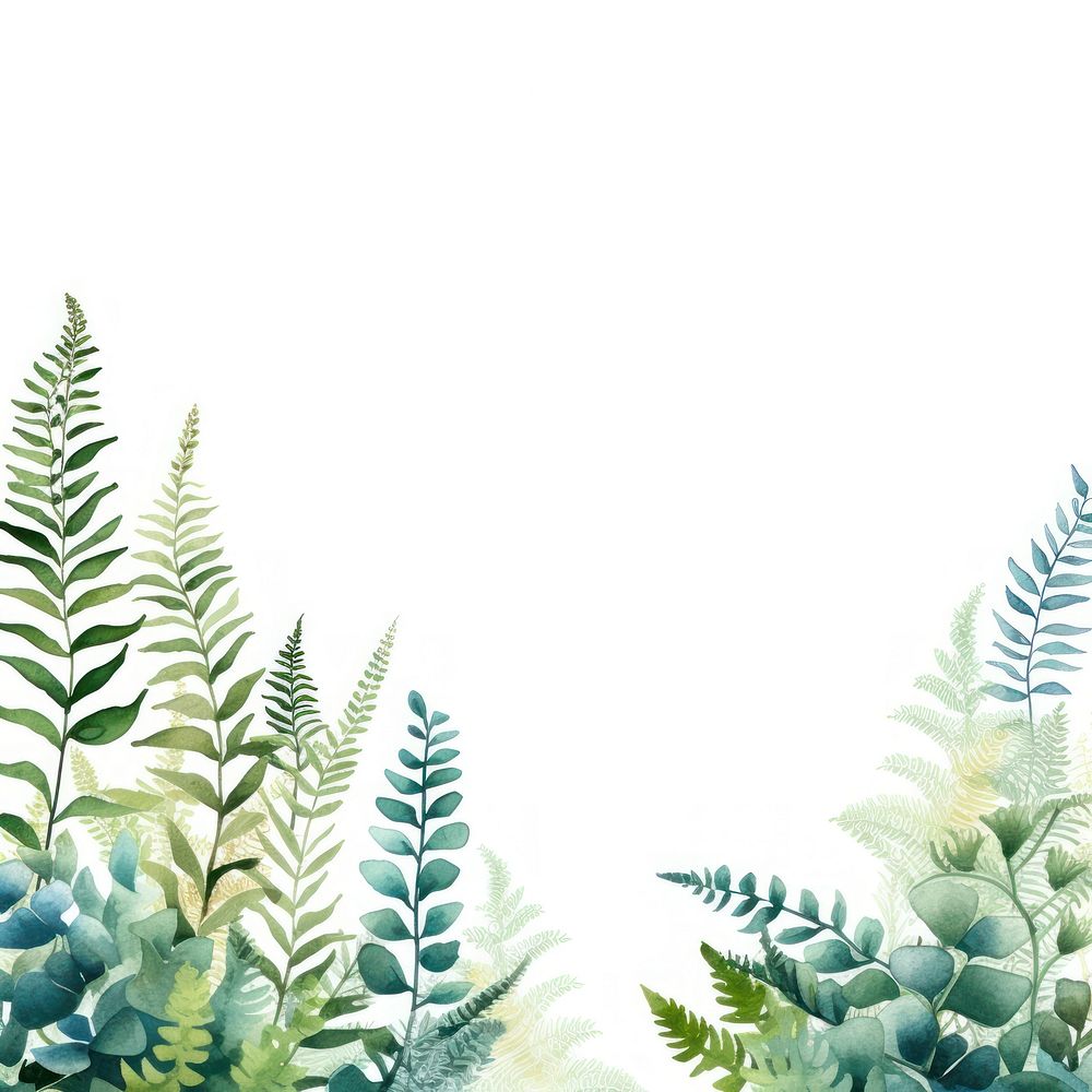 Fern border watercolor backgrounds outdoors pattern.
