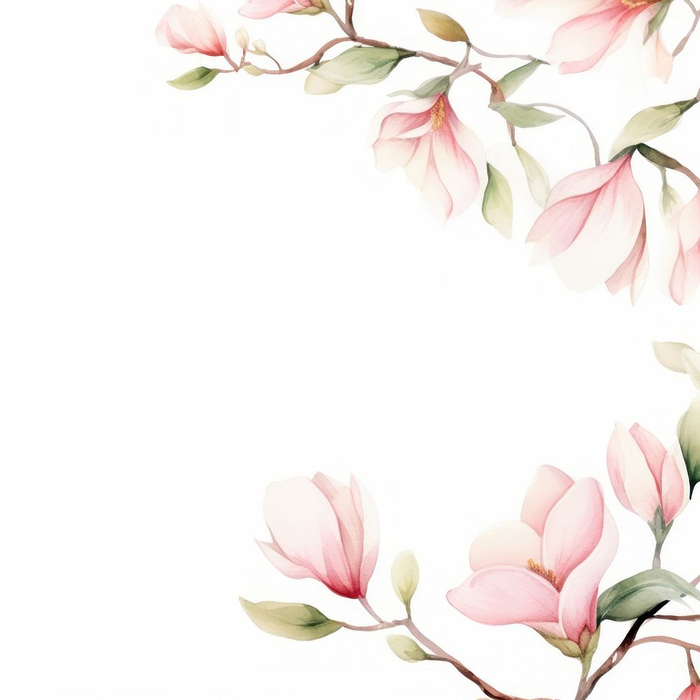 Magnolia border watercolor backgrounds blossom flower.