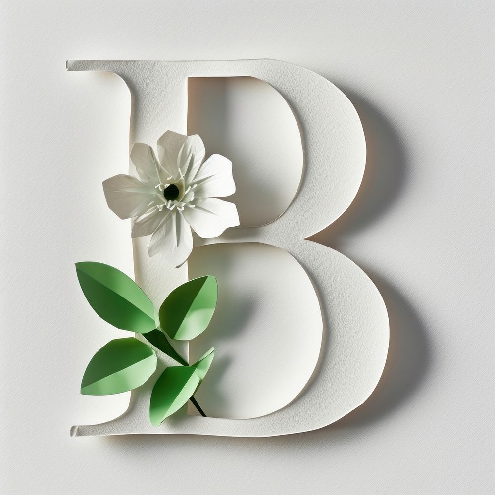 Letter B font flower plant white.