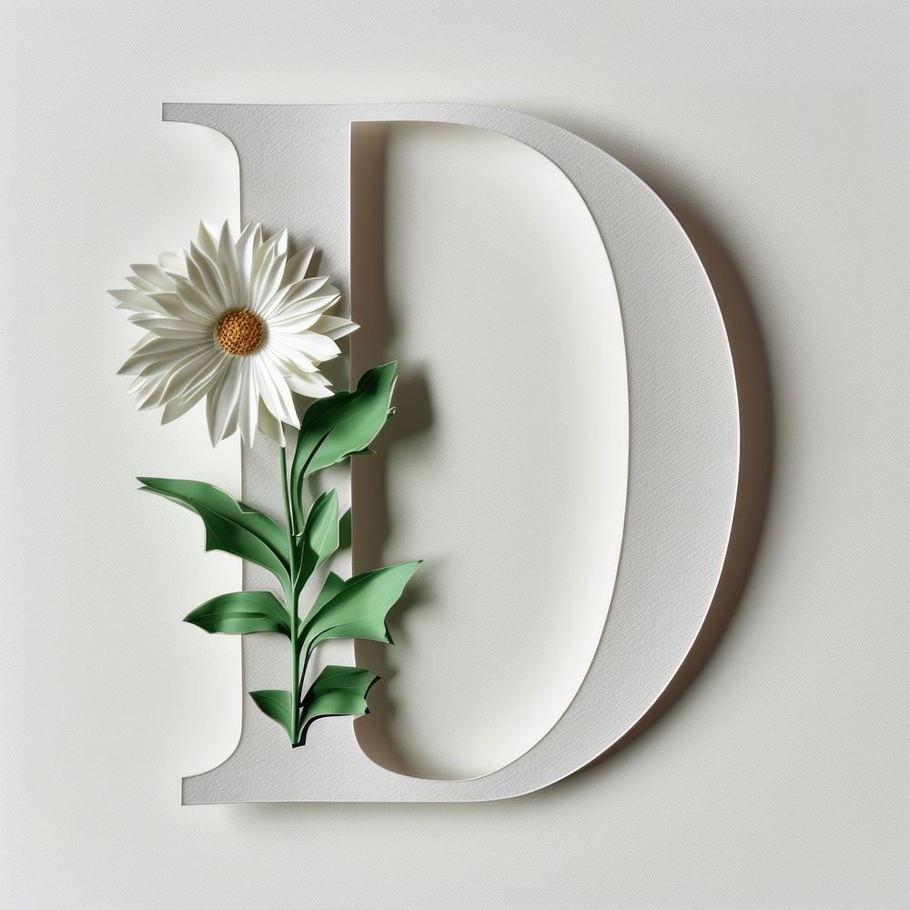 Letter D font flower plant white.