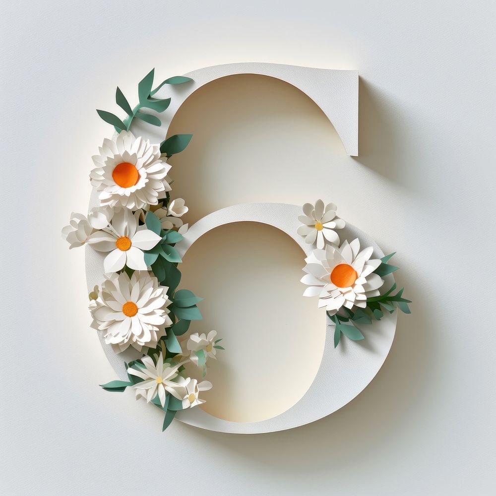 Letter number 6 font flower plant white.
