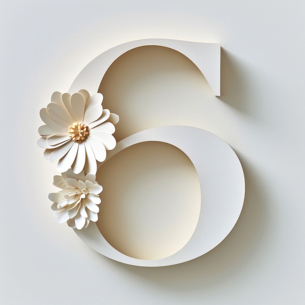 Letter number 6 font flower white accessories.