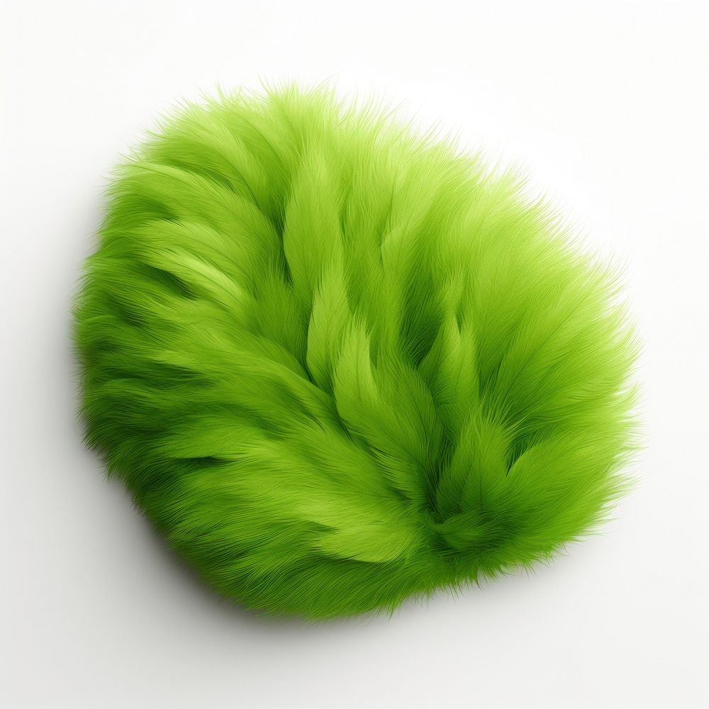 Leaf fur green white background accessories.