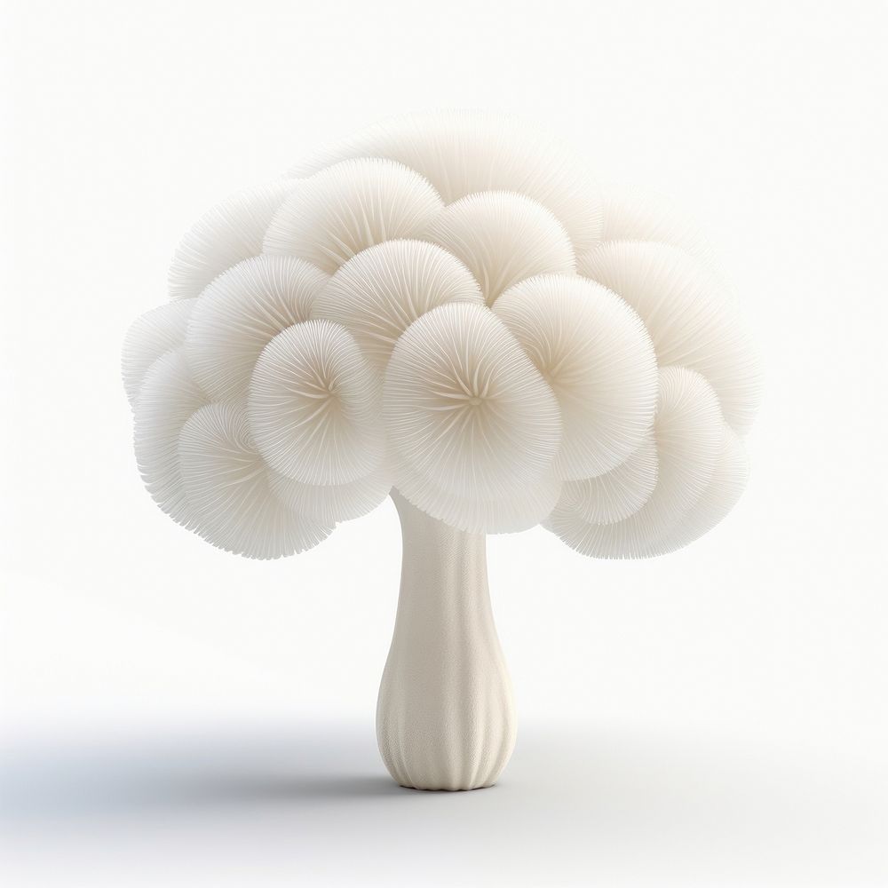 Mushroom fungus plant white.