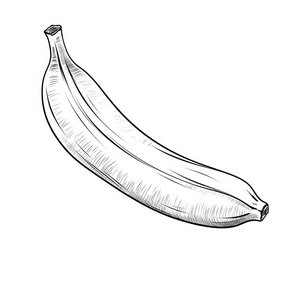 Banana sketch food line.