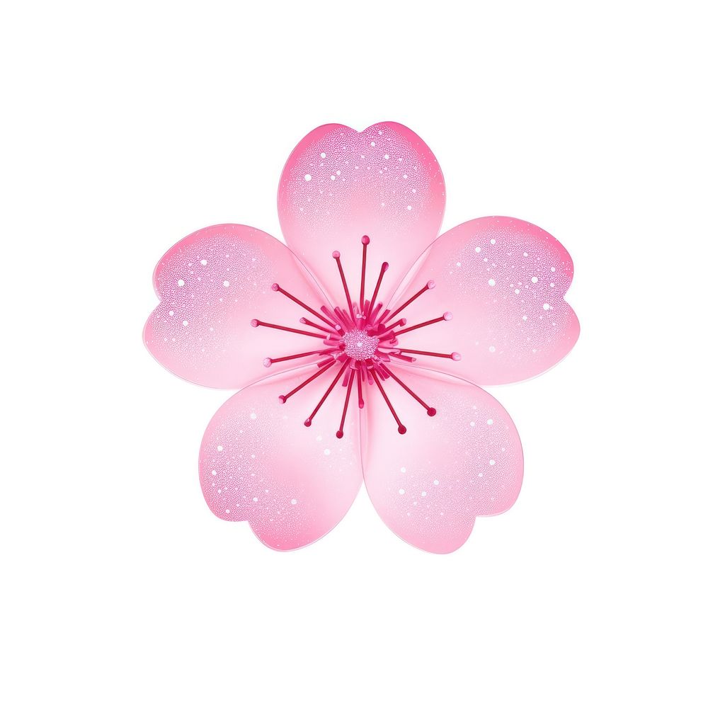 Cherry blossom icon flower nature petal.