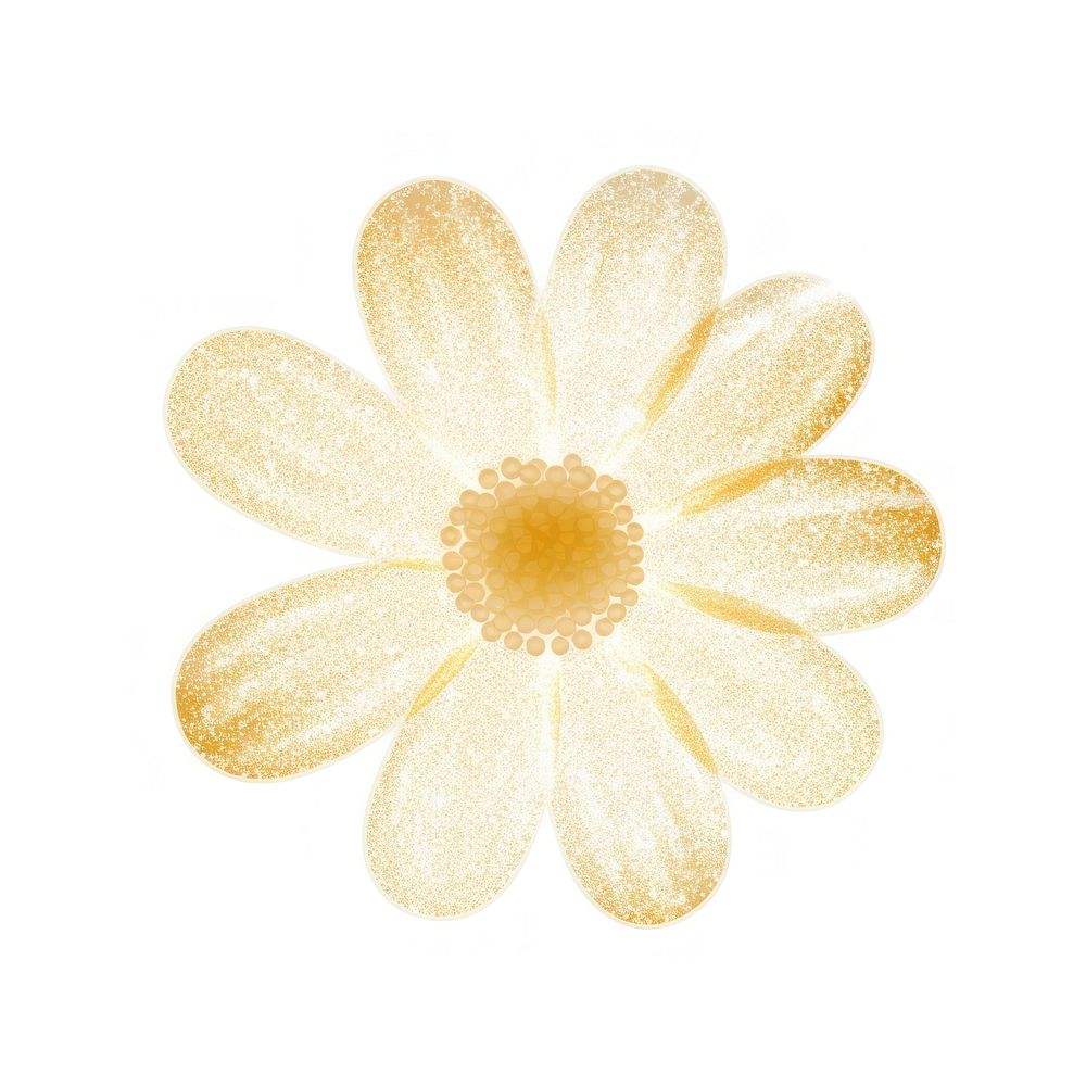 Daisy icon flower petal plant.