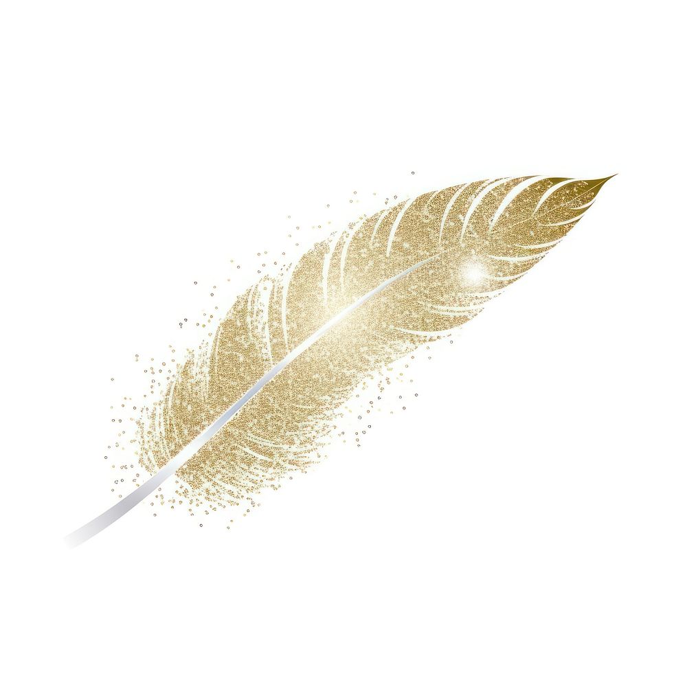 Feather icon leaf white background lightweight.