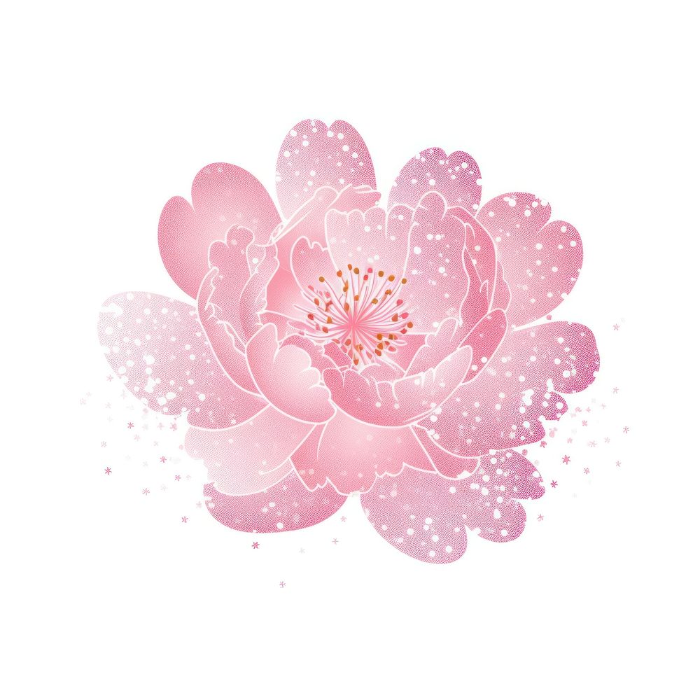 Peony icon blossom flower petal.