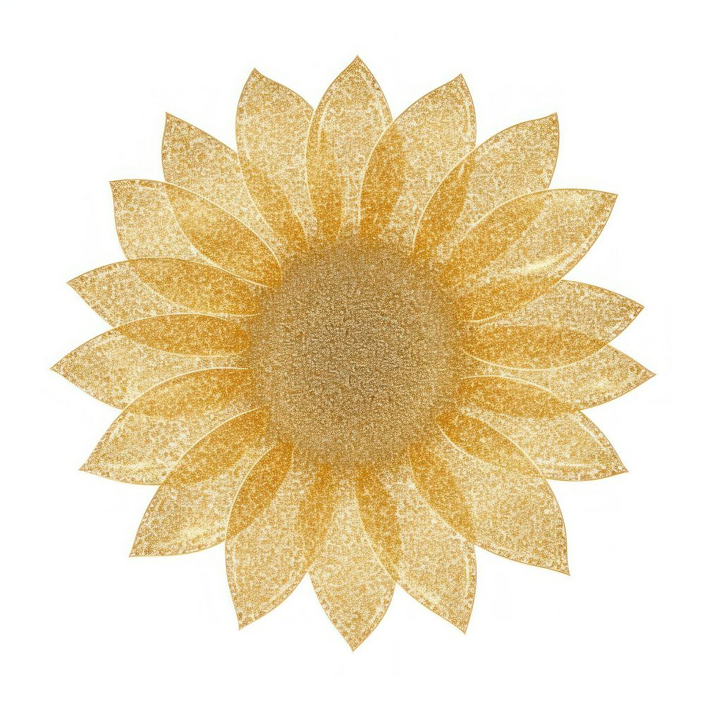 Sunflower icon plant shape white background.