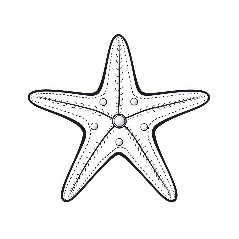 Star fish starfish sketch line.