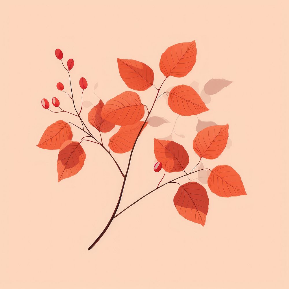 Fall leaves plant leaf graphics.