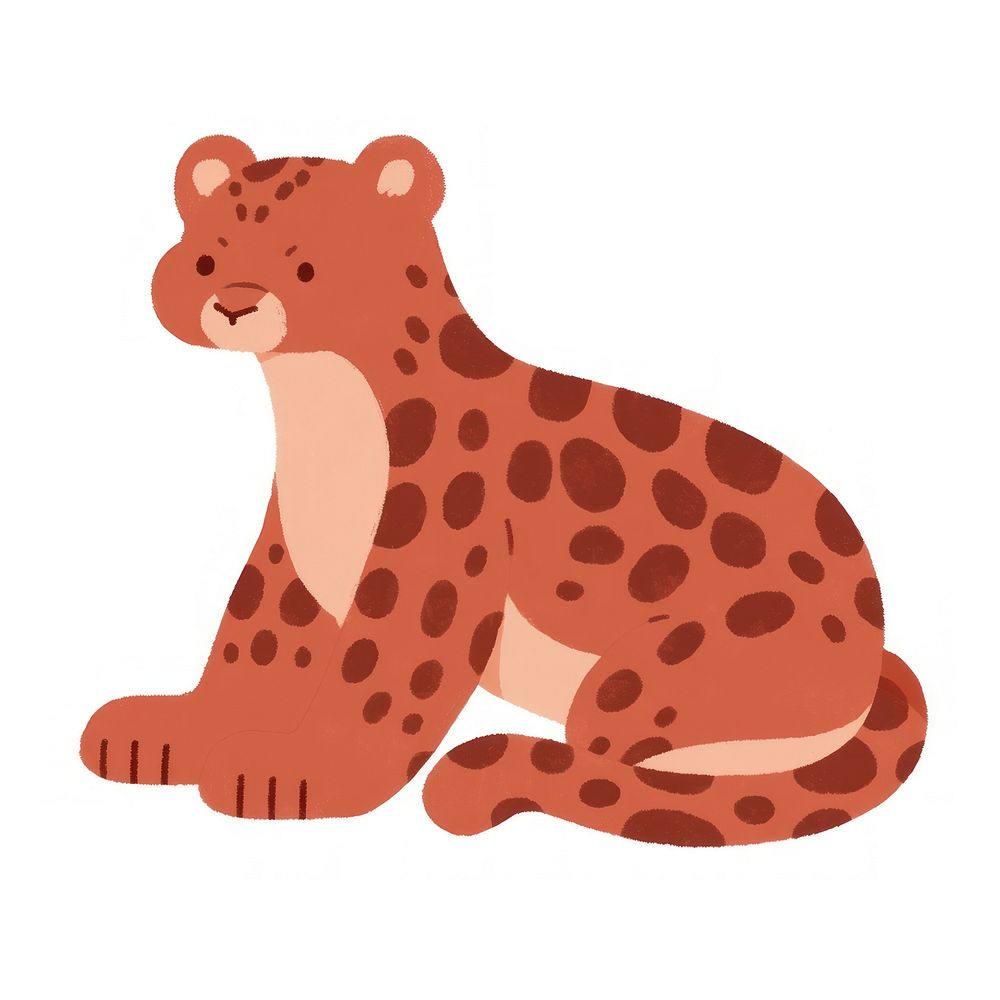 Leopard cheetah animal mammal.