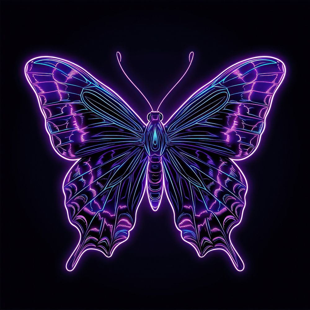 Neon butterfly purple violet light.