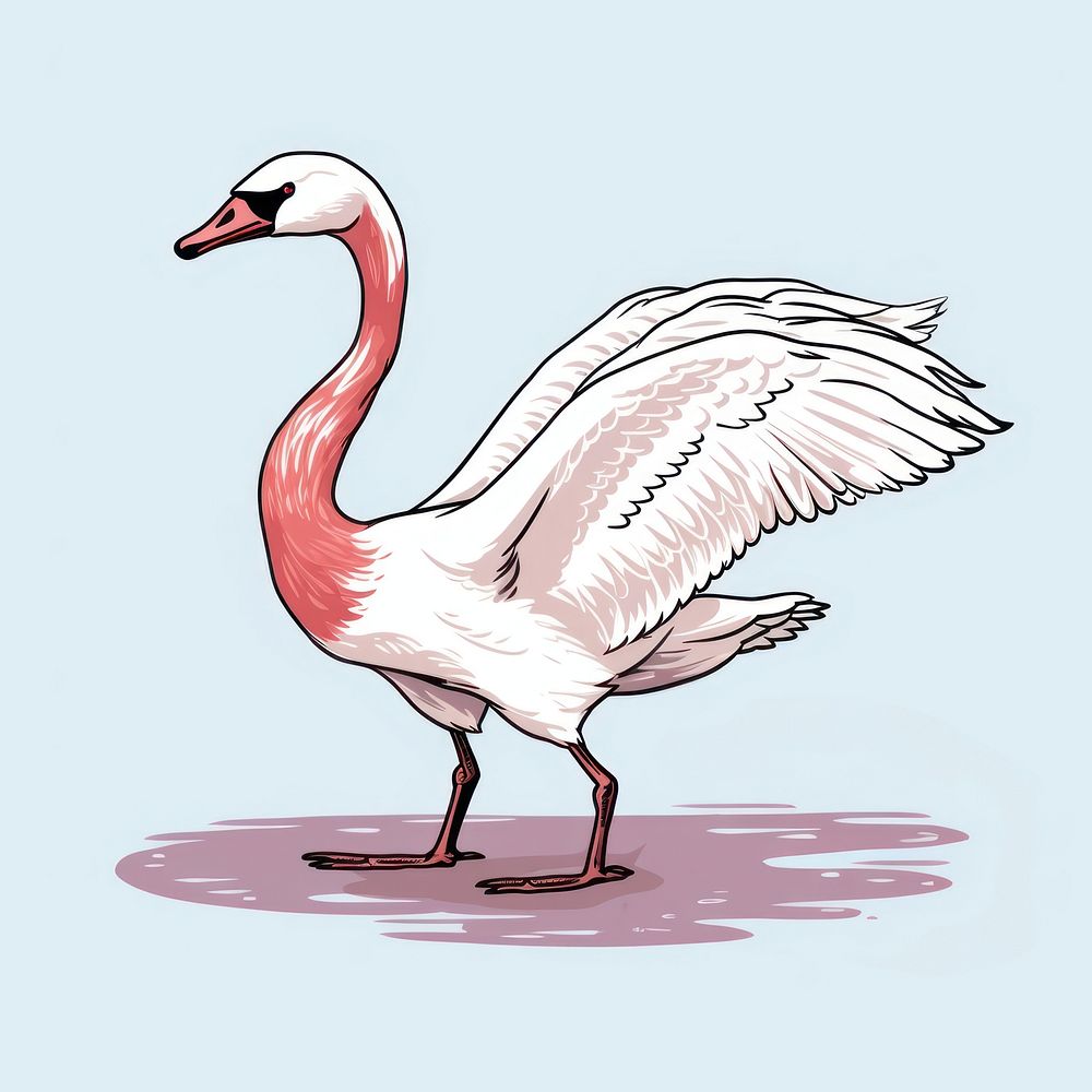 Swan dancing flamingo cartoon drawing.