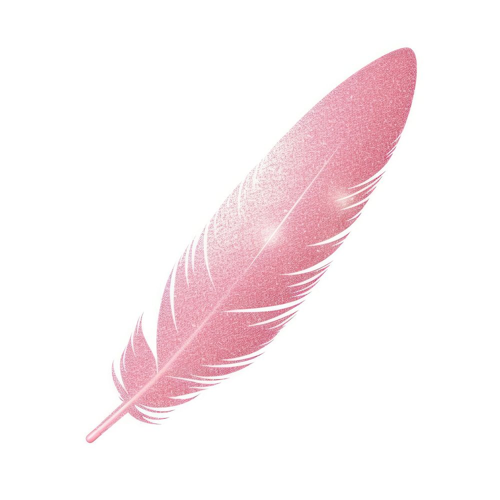 Pink feather icon white background lightweight softness.
