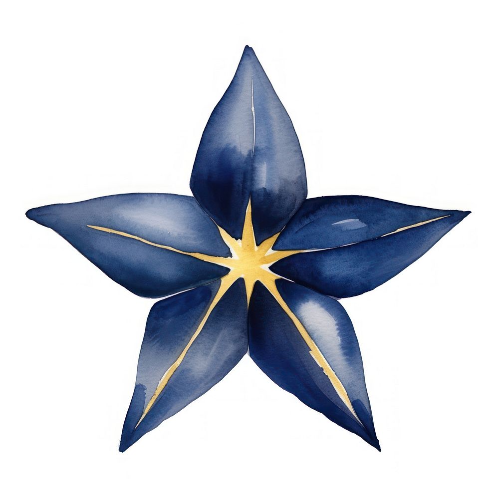 Indigo star flower symbol plant.