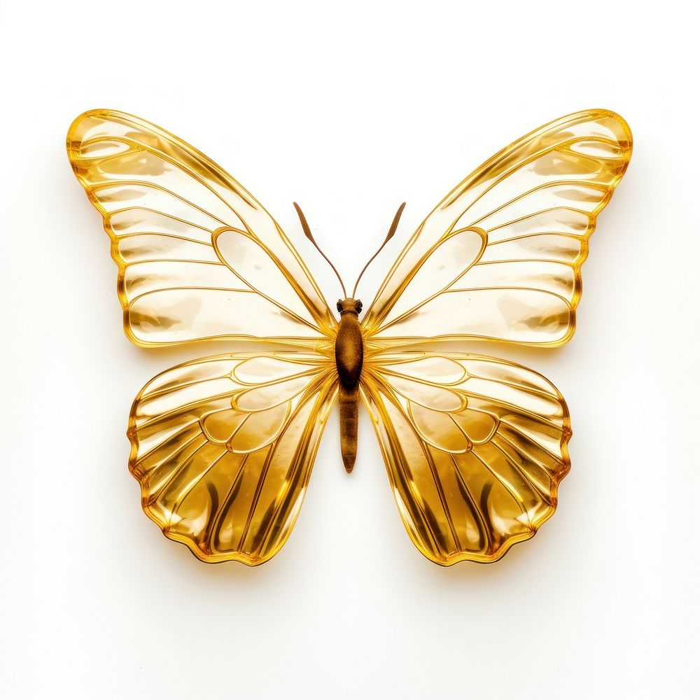 Shiny golden butterfly animal insect white background.