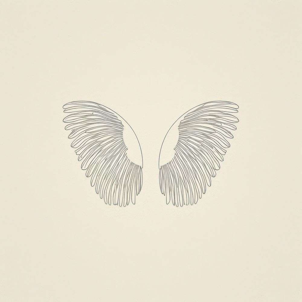Angel wings icon drawing sketch white.