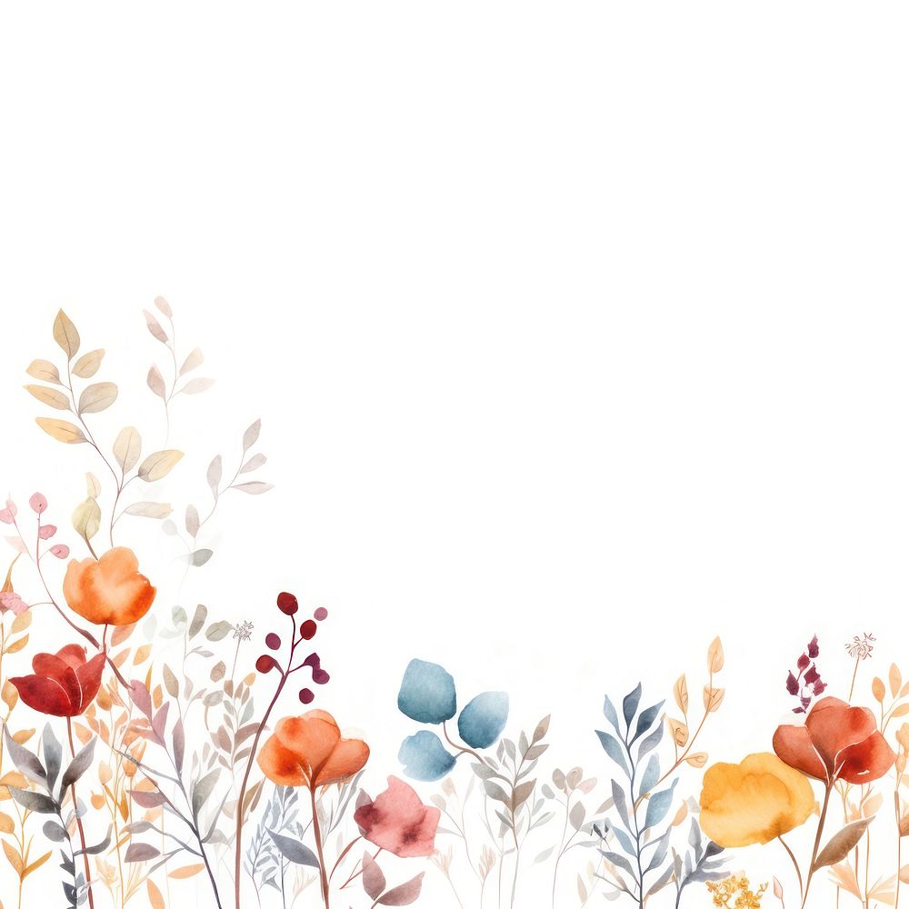 Fall flowers border backgrounds pattern white background.