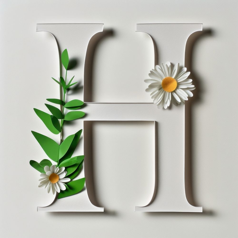 Letter H font flower plant white.