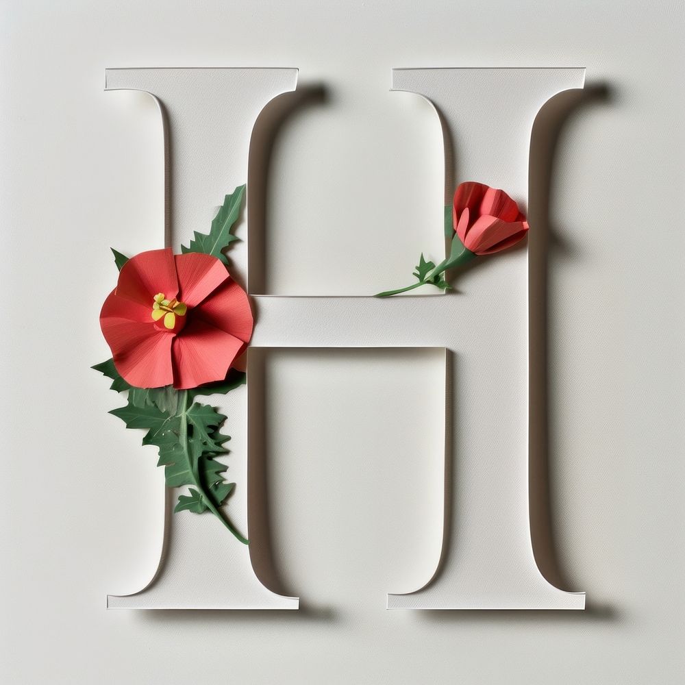 Letter H font flower text fragility.
