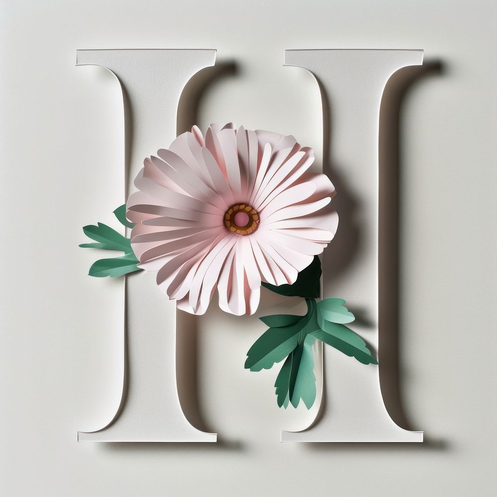 Letter H font flower plant asteraceae.