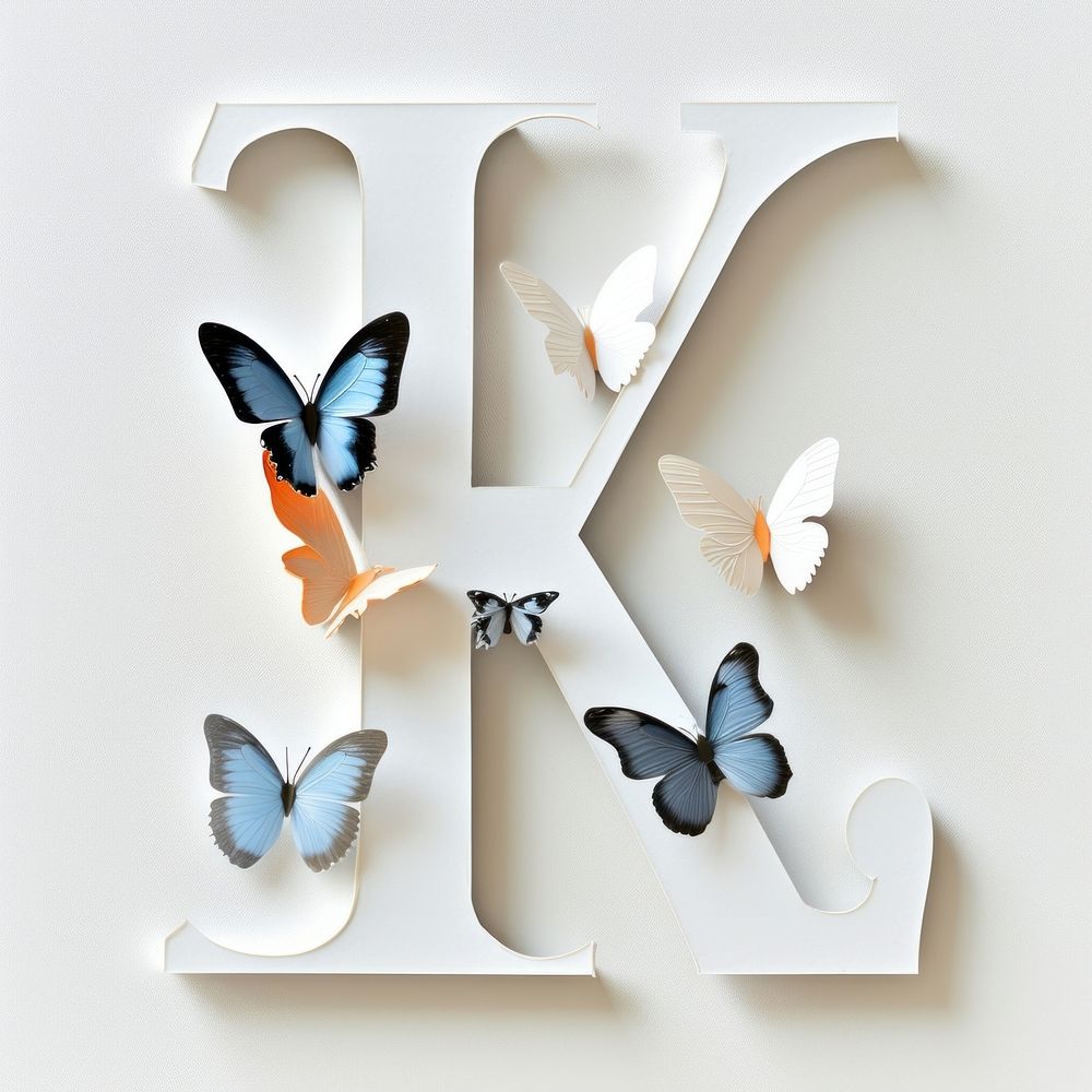 Letter K font white background butterfly insect.
